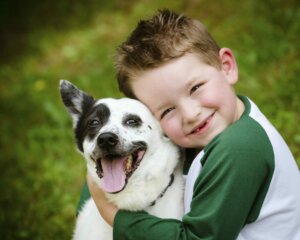 hayvanlar çocuklar için uygun hayvanlar