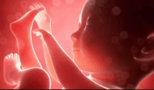 Ana Rahminde Bebeğin Ne Hissettiğini Biliyor Musunuz?