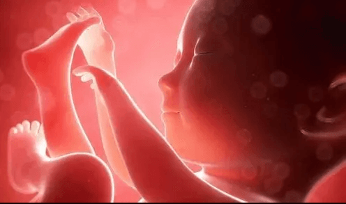 Ana Rahminde Bebeğin Ne Hissettiğini Biliyor Musunuz?