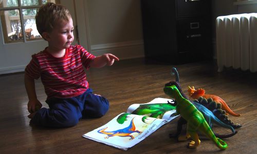Dinozor oyuncakları ve kitabı ile vakit geçiren çocuk