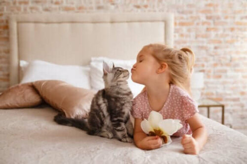 Bir kediye öpücük veren bir kız çocuğu.