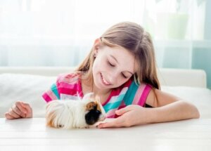 Şehirde Yaşayan Çocuklar İçin 7 Evcil Hayvan Önerisi