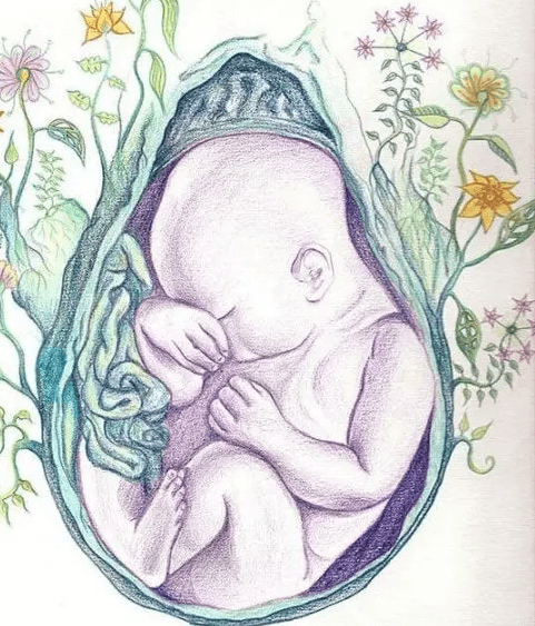 Seni Kollarıma Alacağım Günü Sabırsızlıkla Bekliyorum