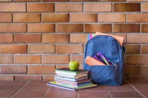 okul çantası ders kitapları